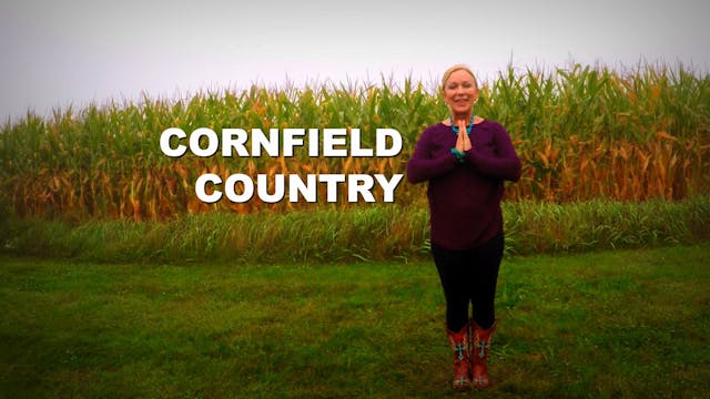 Cornfield Country