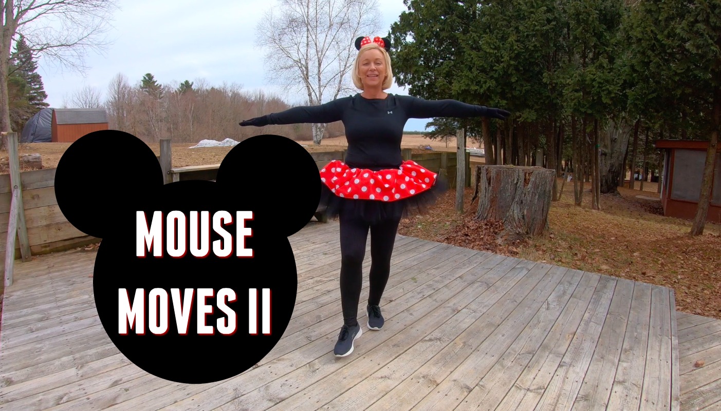 MOUSE MOVES II