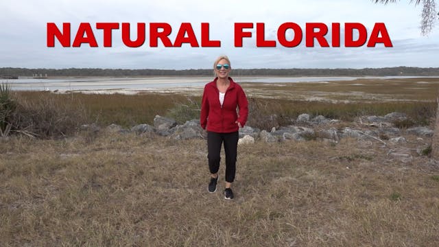 Natural Florida