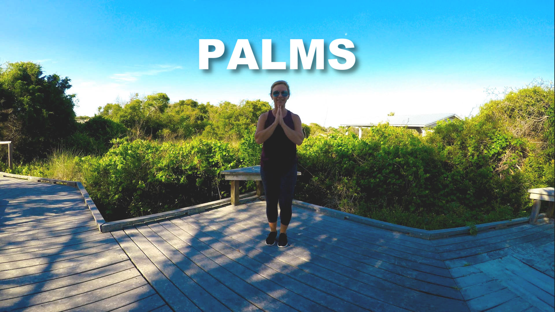 Palms