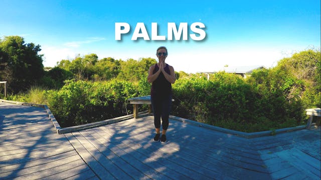 Palms