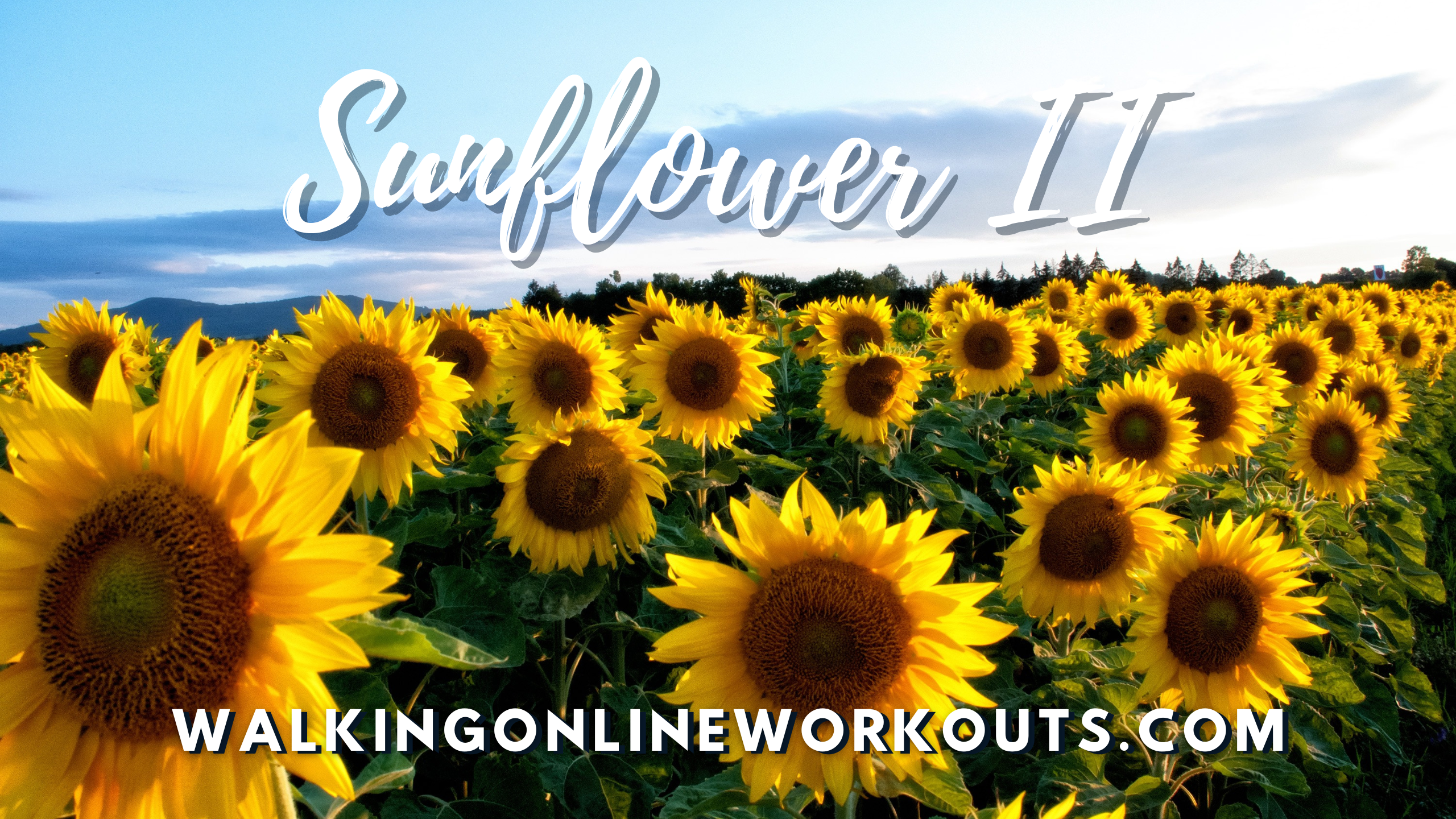 Walking Online Workouts Video