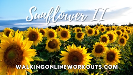 Walking Online Workouts Video