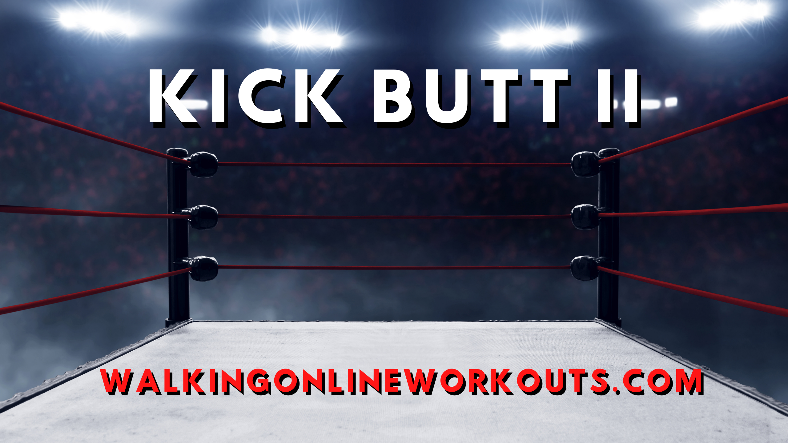 Kick Butt II