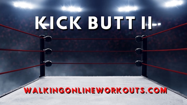 Kick Butt II