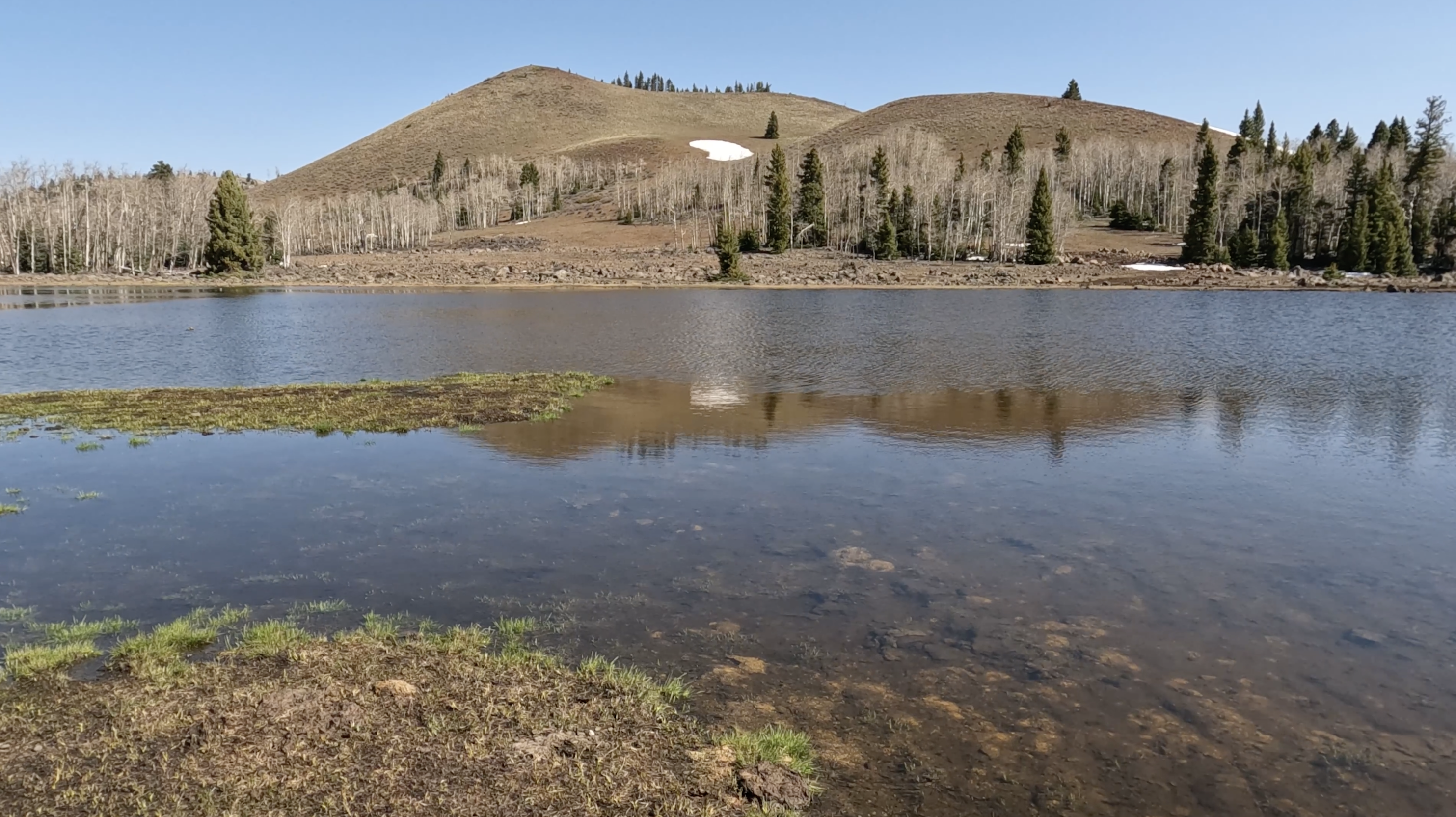 To A Lake