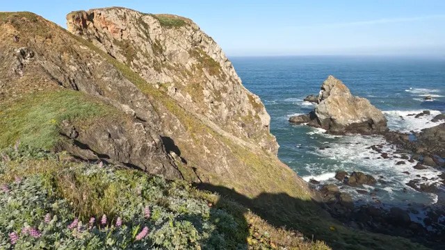 Pacific Ocean Views