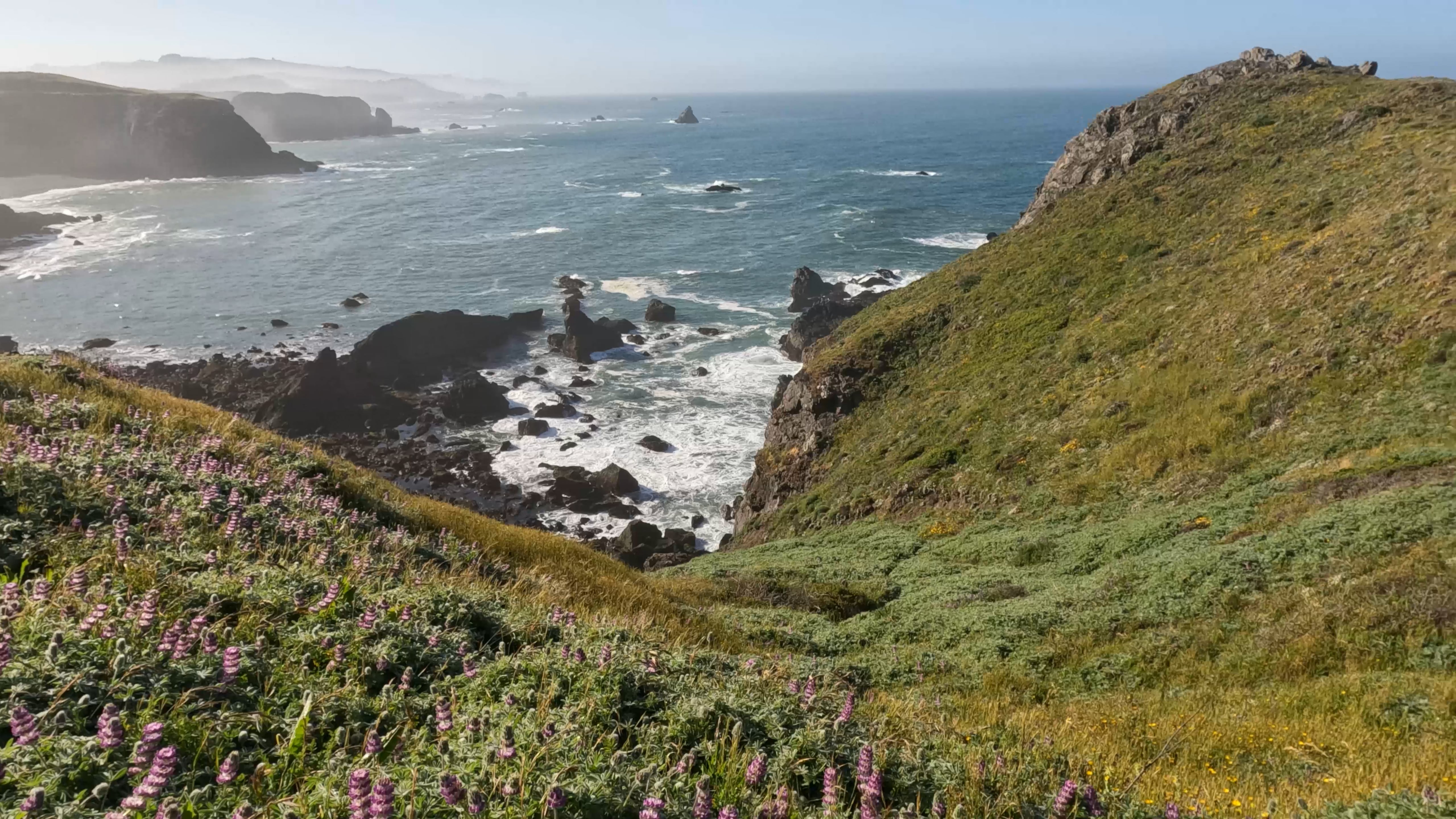 Pacific Ocean Views Trailer