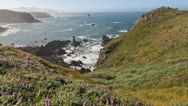 Pacific Ocean Views Trailer