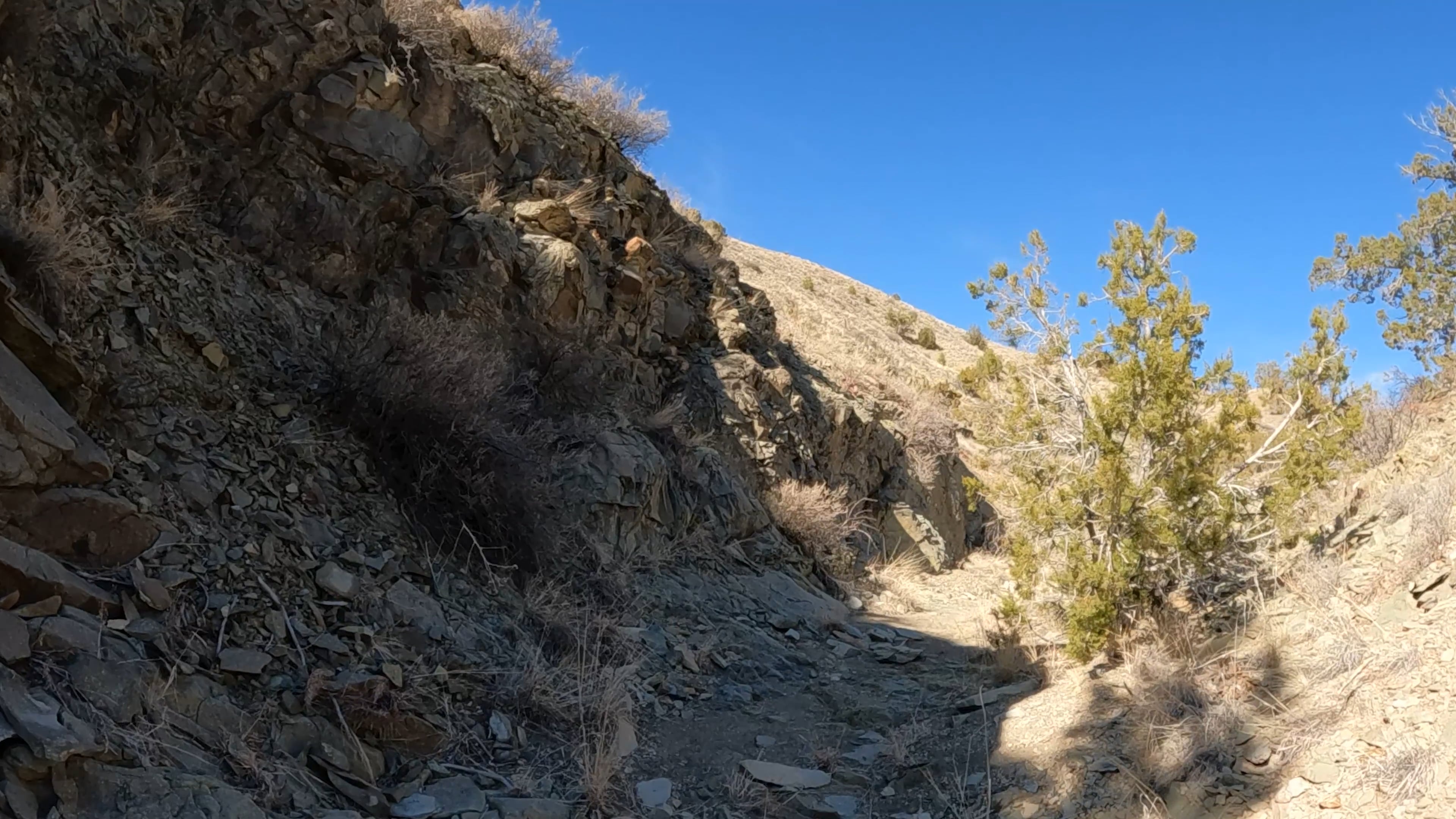 Rugged Ravine Trailer