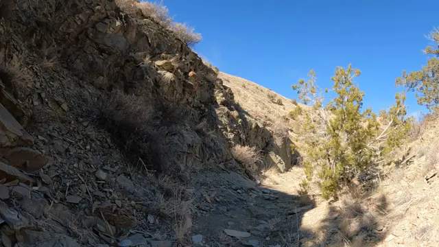 Rugged Ravine Trailer