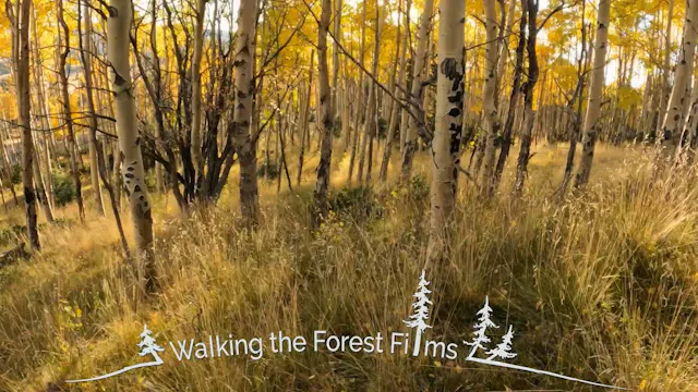 Trees of Gold Trailer