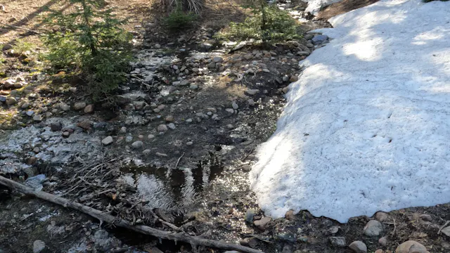 To A Lake Trailer