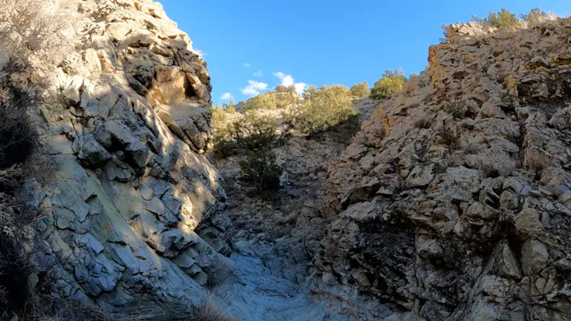 Rugged Ravine