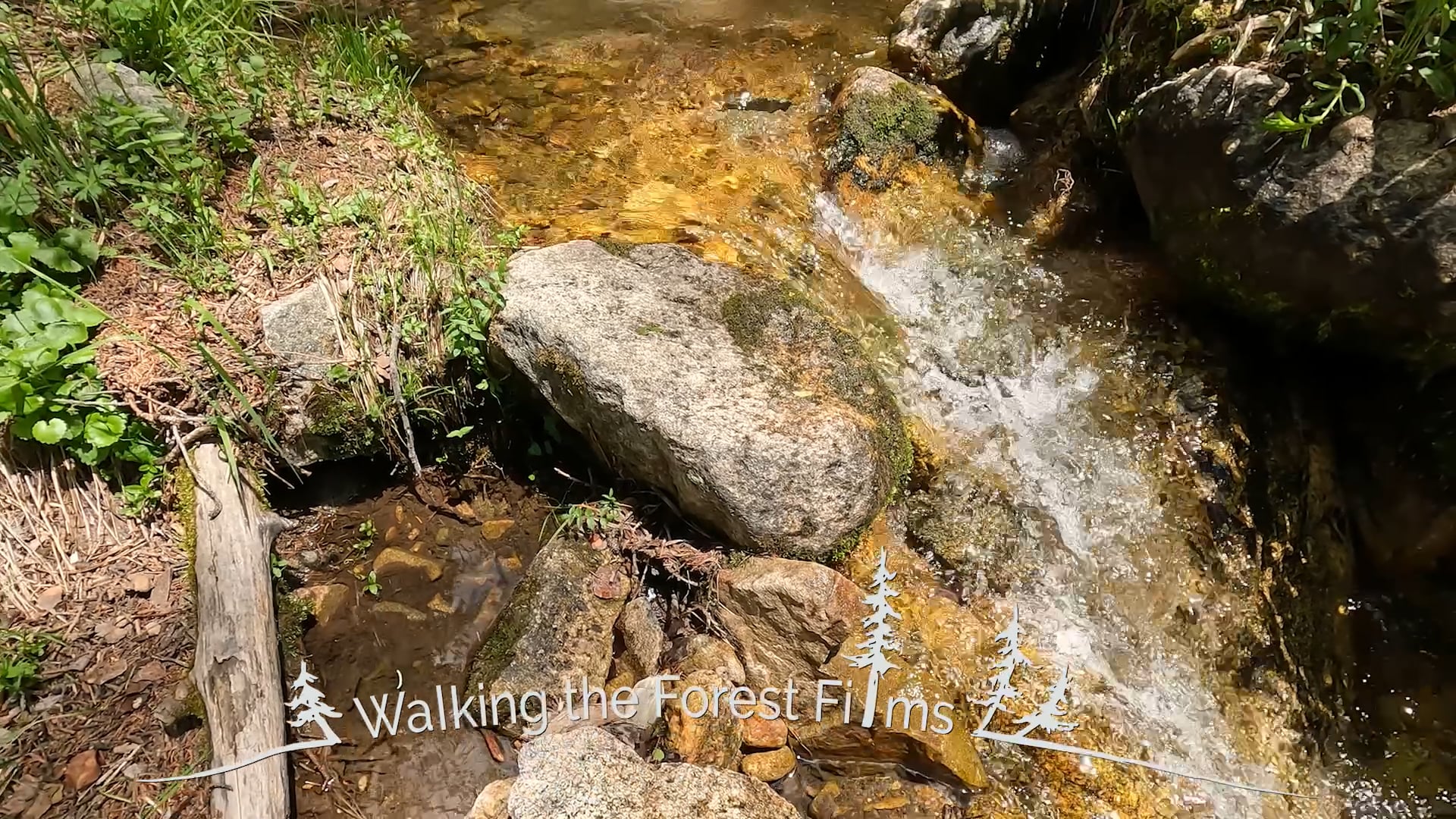 A Trek Upstream Trailer