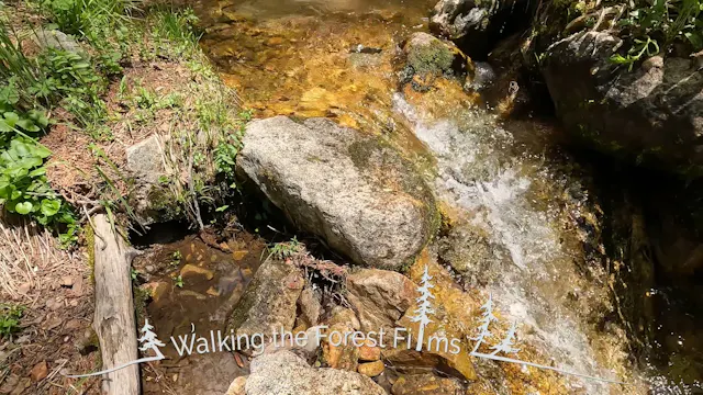 A Trek Upstream Trailer