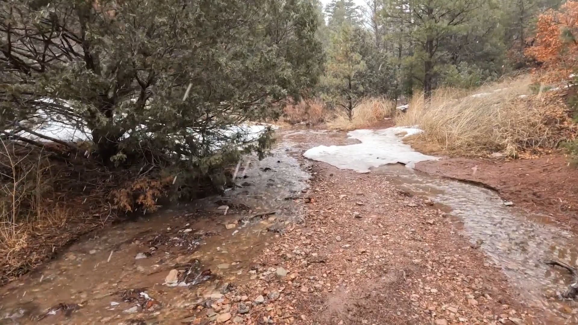 Apache Creek Trailer