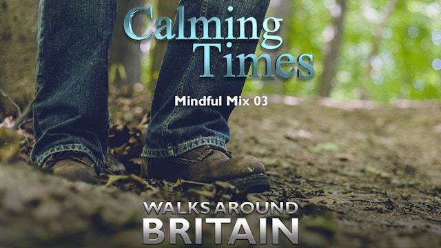 Mindful Mix 03 from Calming Times