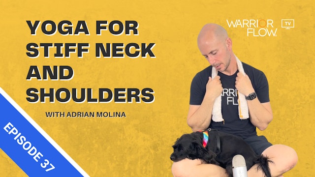 Yoga for Stiff Neck and Shoulders: Episode 37