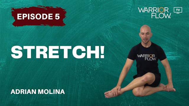 Stretch: Episode 5