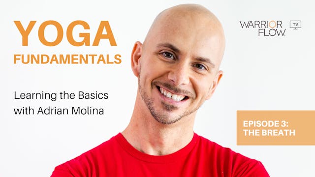Yoga Fundamentals with Adrian Molina:...
