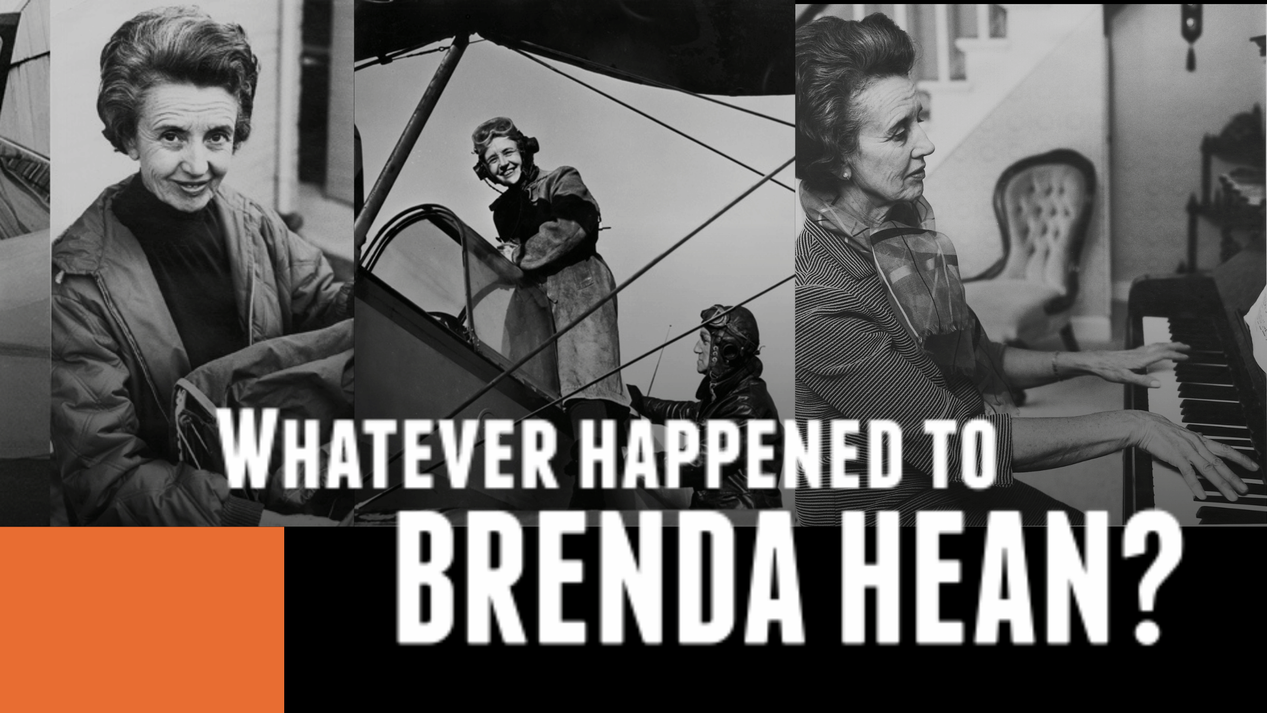 WHATEVER HAPPENED TO BRENDA HEAN? (2010)