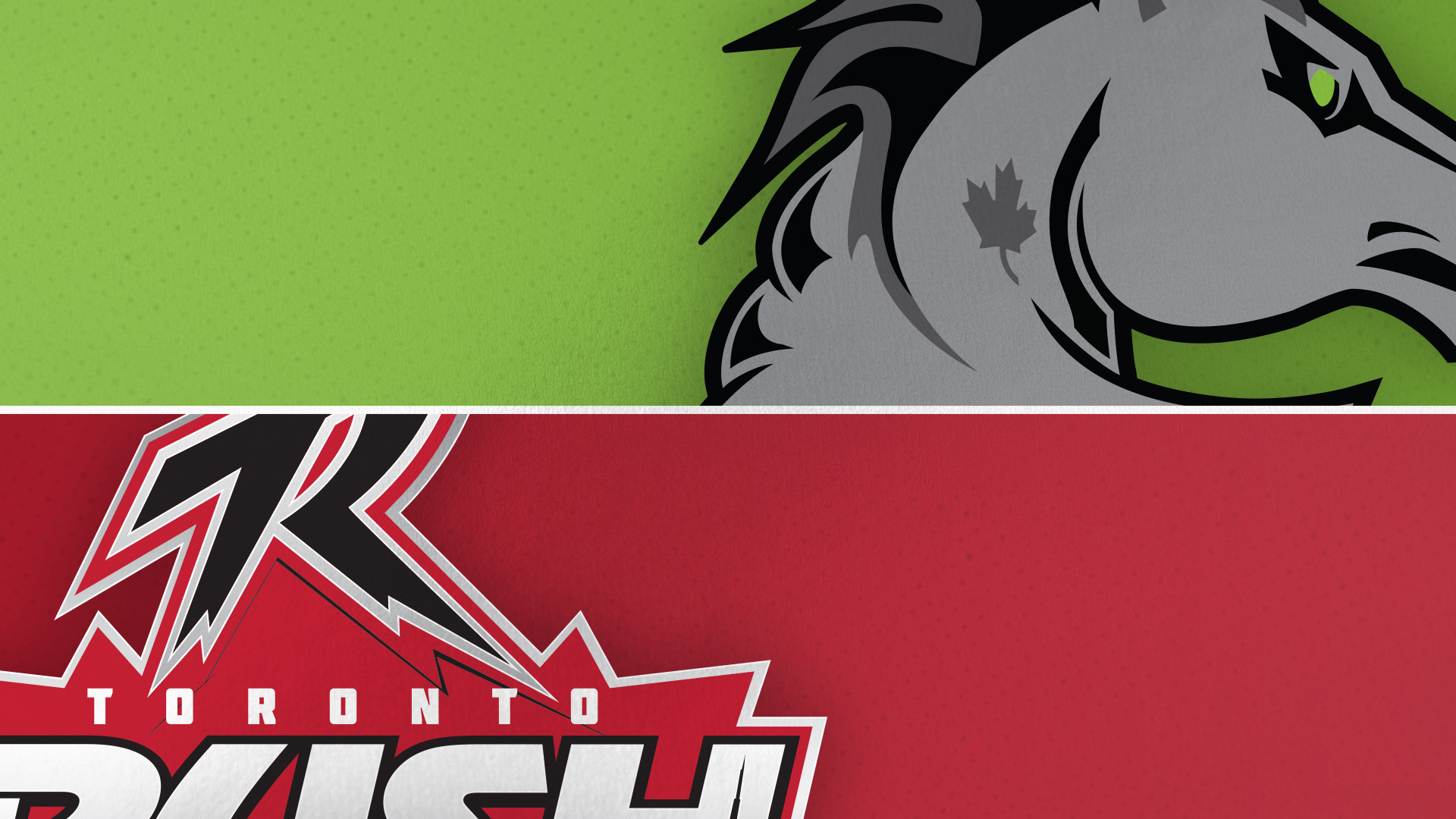 Ottawa at Toronto 08/15/2021