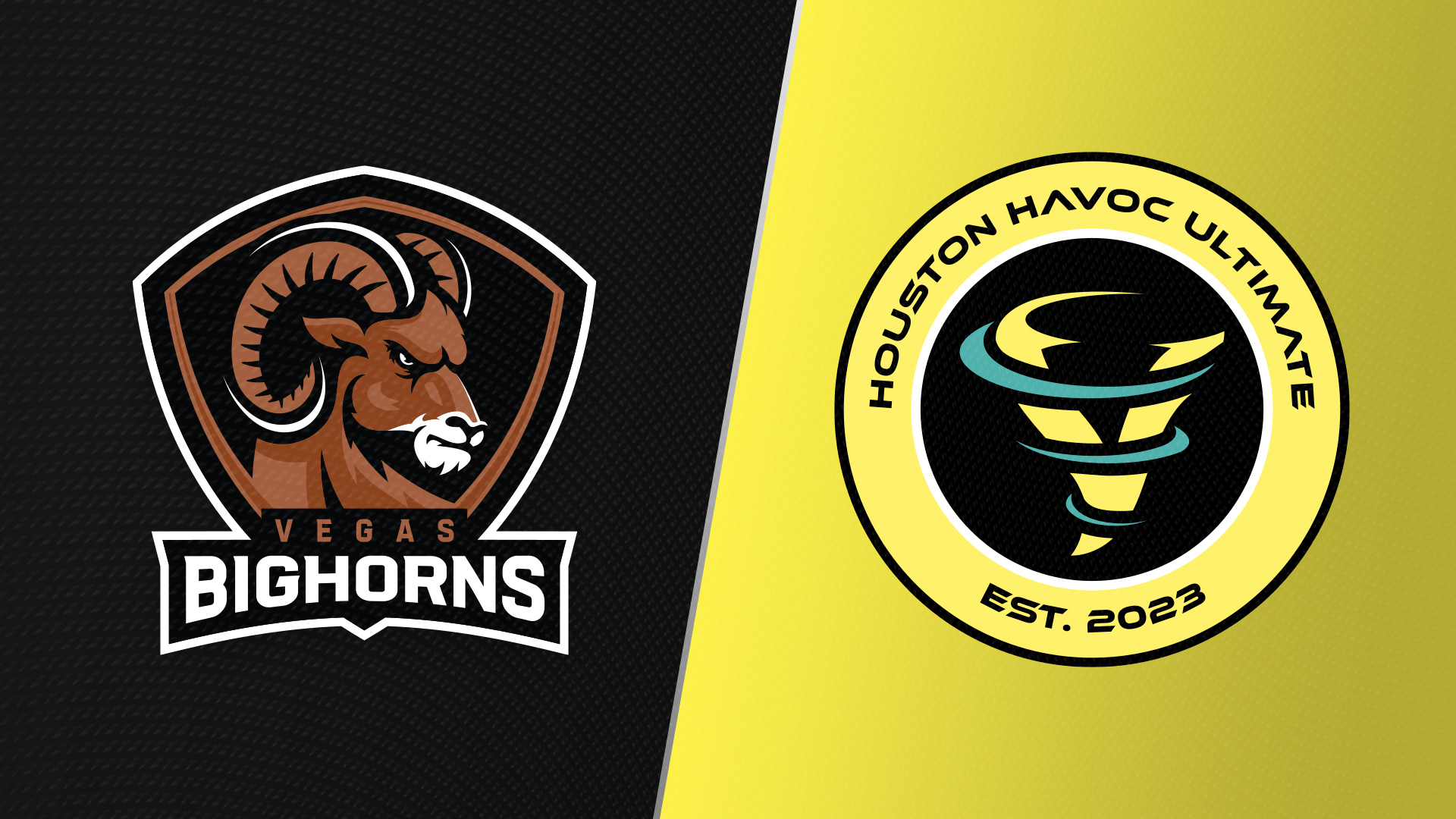 Las Vegas at Houston (5/15/2026)