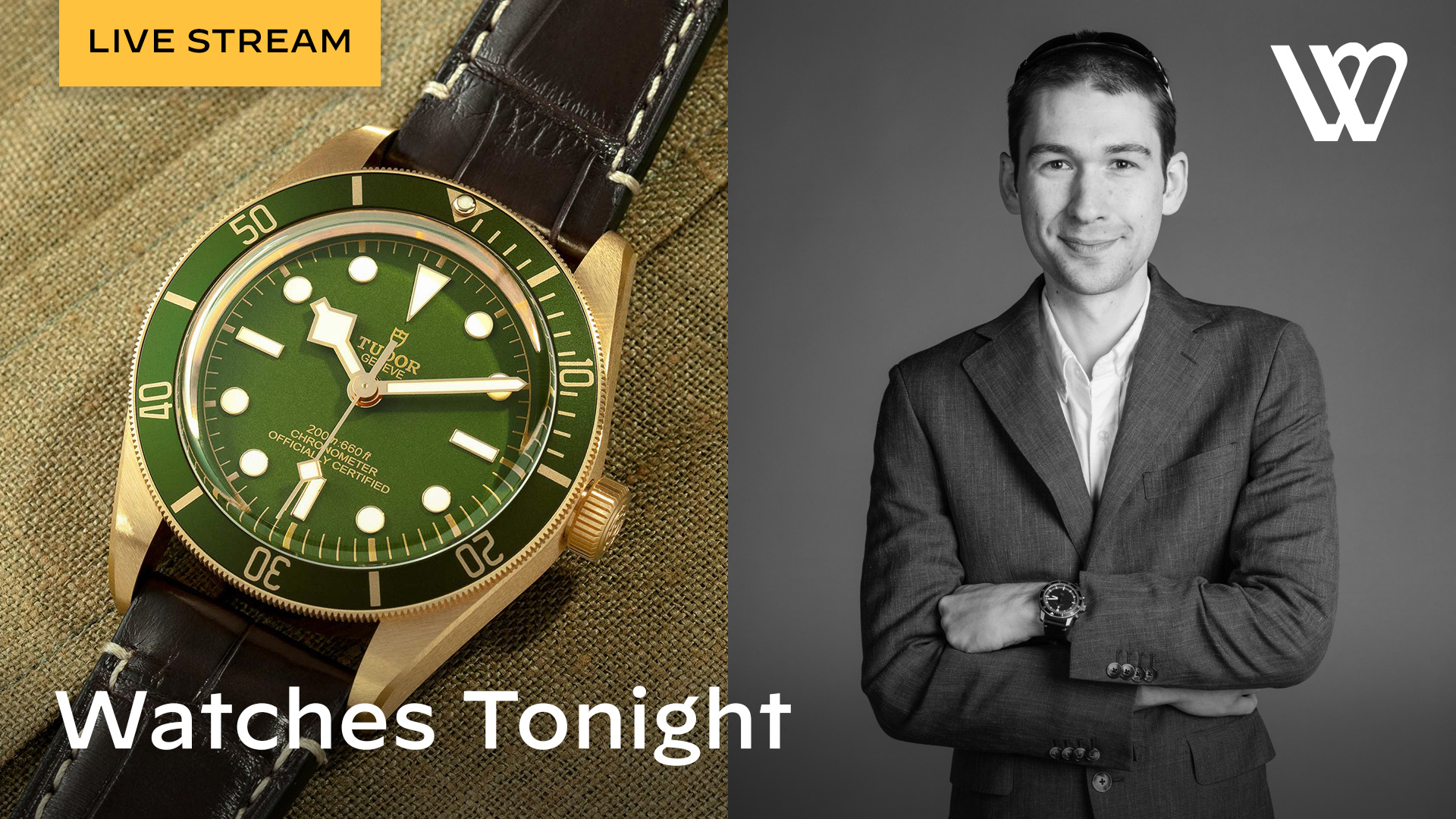 Best Tudor Watches in 2024: Prices + Models - The Baby Brand Goes Upmarket