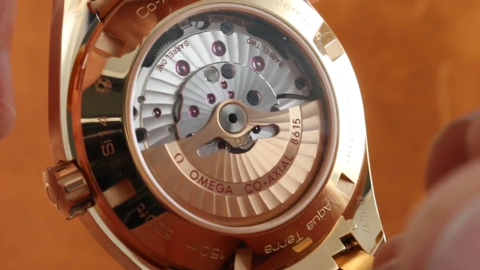 Omega Seamaster Aqua Terra GMT 150M 231.50.43.22.02.001 Review