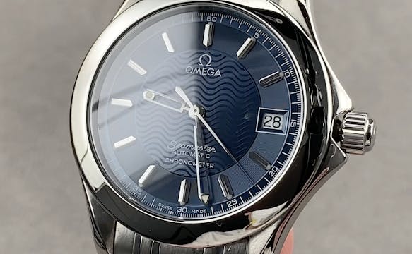 Omega Seamaster 120M 2501.81.00