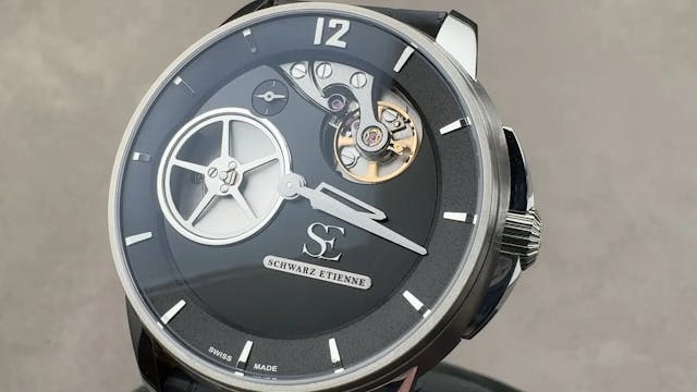 Schwarz Etienne Roswell Irreversible ...