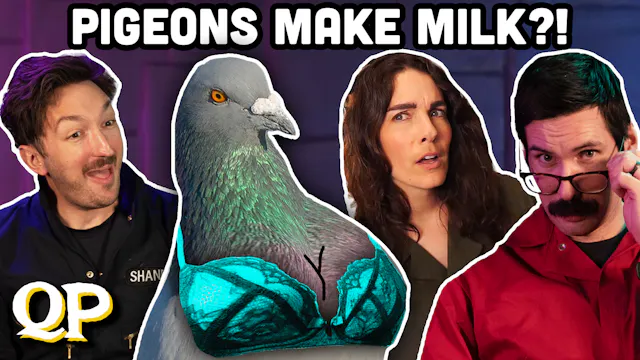 10 Bird Facts That Sound Like Lies
