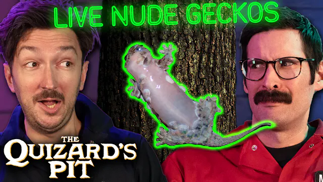 Ep 4 - Lizards!