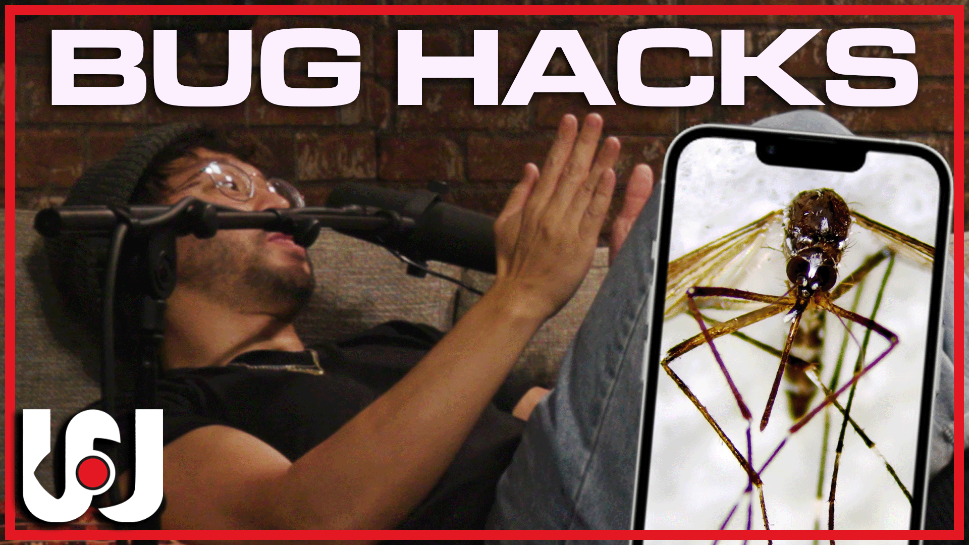 008: Flossing, Candle, Bugs