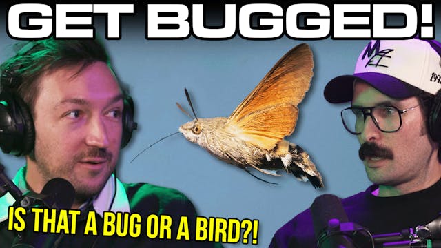 106: We Found The World's Weirdest Bugs