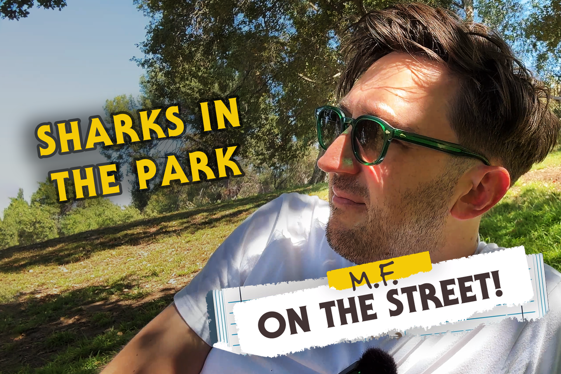Mystery Files... On The Street - Sharks In The Park
