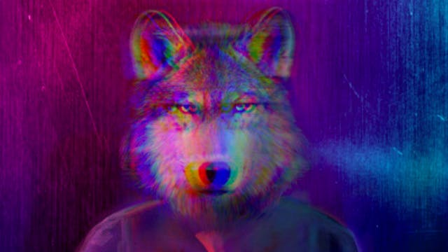 Wolf