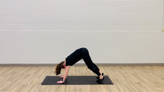 Beginner-Foundation: Downward facing ...