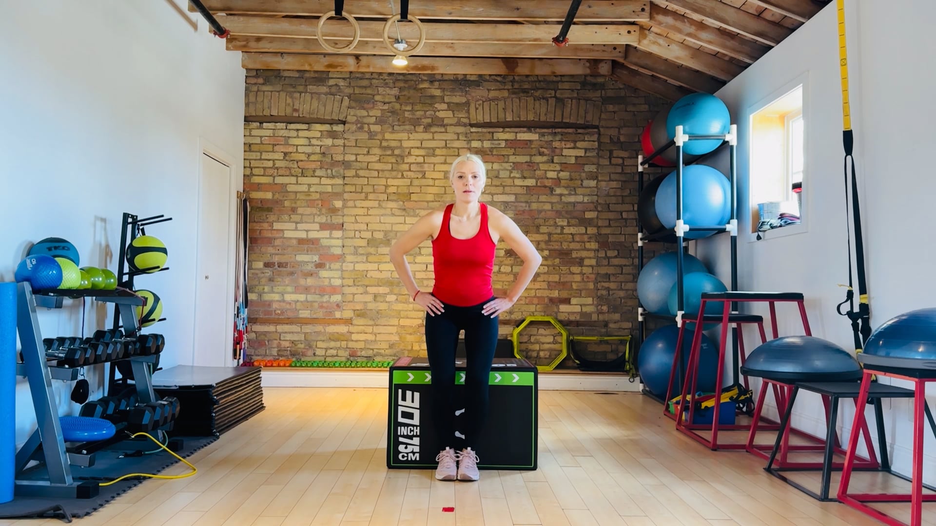 Advanced-Elite: Seated hip flexion knee lifts with neutral spine exercise