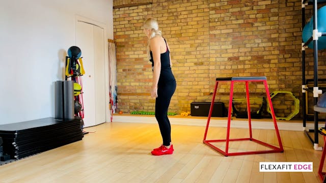 Single leg spiral back extensions: Ad...