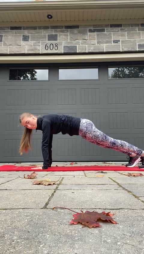 Advanced-Elite: Bird dog plank exercise