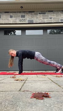 Advanced-Elite: Bird dog plank exercise