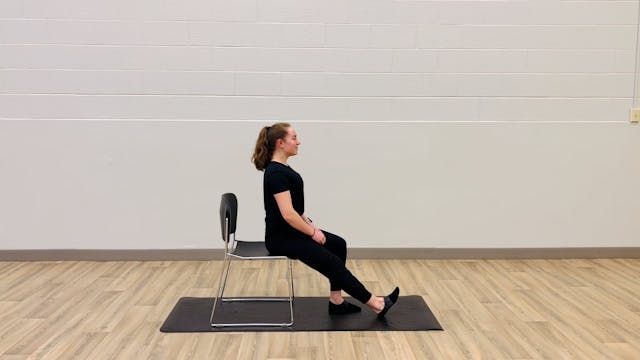 Beginner-Foundation: Seated single le...