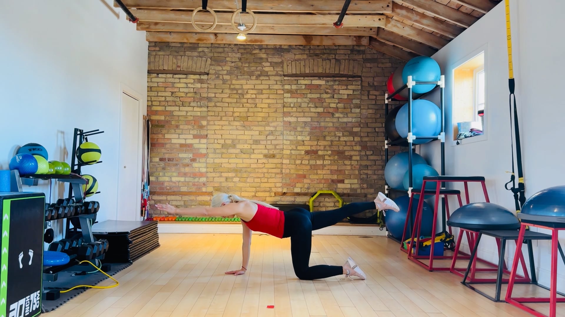 Advanced: Bird dog knee tap variation exercise