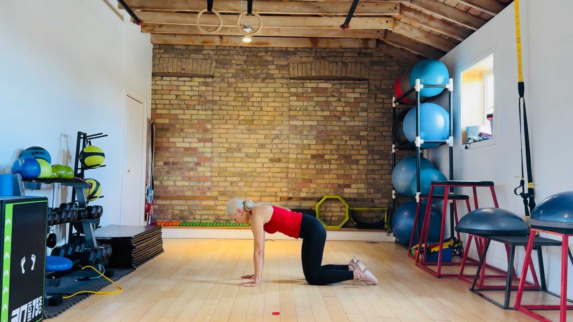 Foundation-Elite: Cat-cow pose pelvic floor and posture awareness exercise