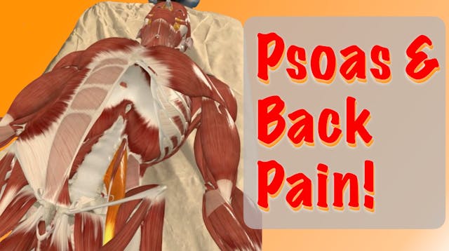 Psoas presentation at the Massage & M...