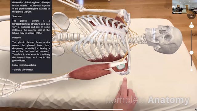 Treating Trapped Nerves session 9