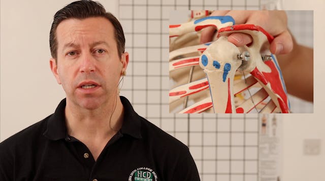 Subacromial impingement part 1