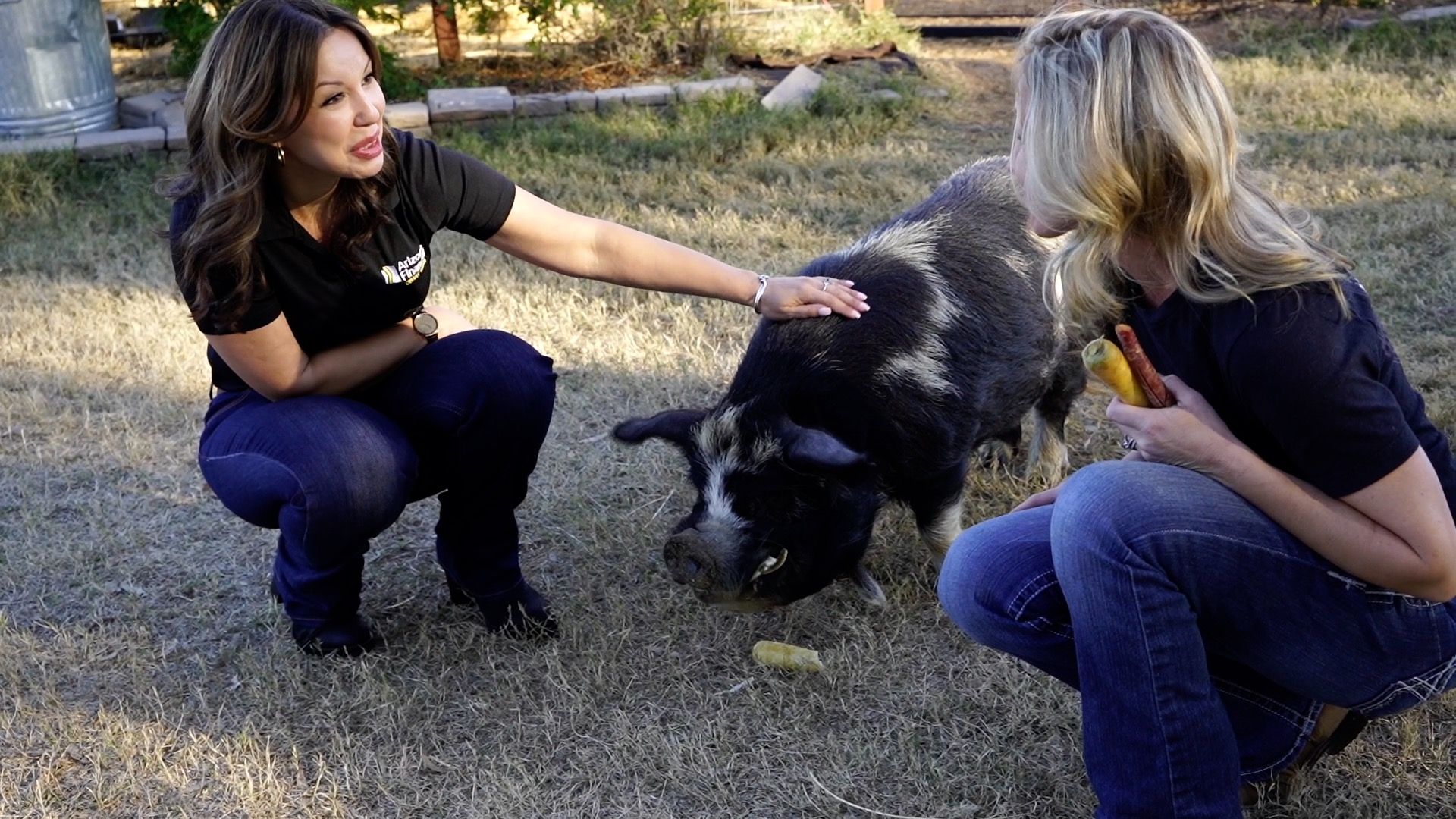 Credit union gives back to local causes | Ep 7